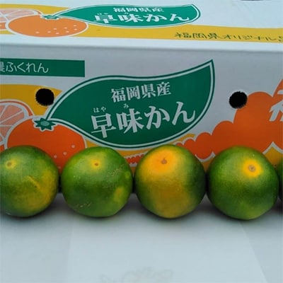 【宇美】福岡限定!オリジナルブランドみかん「早味かん」約4kg【配送不可地域：離島】