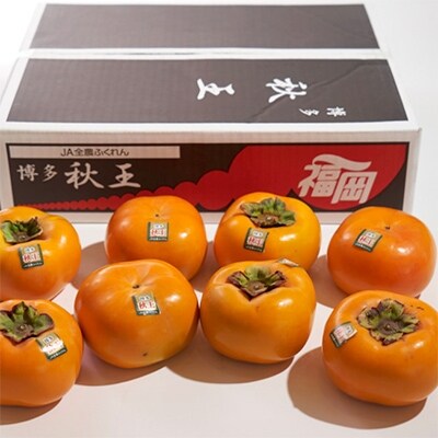 【宇美】秋王(あきおう)3.5kg箱(8-12玉)【配送不可地域：離島】