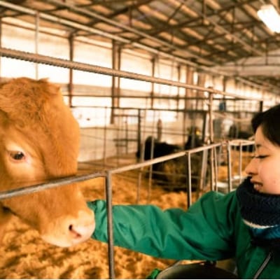 福岡県産 黒毛和牛 博多和牛 ヒレステーキ1000g【配送不可地域：離島】