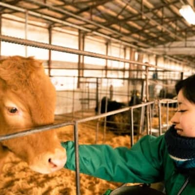 福岡県産 黒毛和牛 博多和牛 ヒレステーキ600g【配送不可地域：離島】