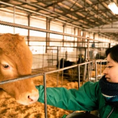 福岡県産 黒毛和牛 博多和牛 ヒレステーキ400g【配送不可地域：離島】