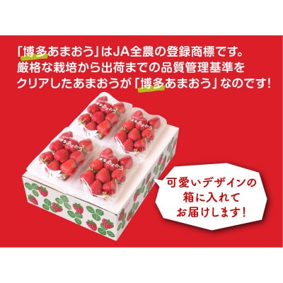 博多あまおう250g×4パック(宇美町)【配送不可地域：離島】
