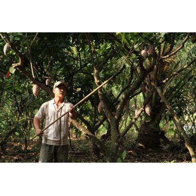 煌々　1棹(秋冬限定品)