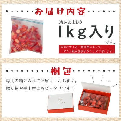 【先行受付】冷凍あまおう1kg(宇美町)【配送不可地域：離島】