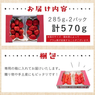 【先行受付】あまおうスタンダード2パック　570g(宇美町)【配送不可地域：離島】