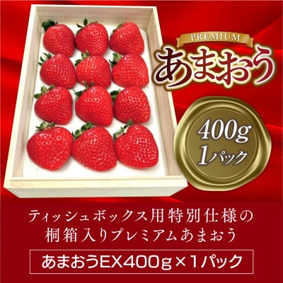 ティッシュボックス用特別仕様の桐箱入りプレミアムあまおうEX400g×1パック(宇美町)【配送不可地域：離島】