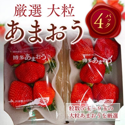 【2025年2月より順次発送】厳選大粒あまおう(約250-270g×4パック)(宇美町)【配送不可地域：離島】