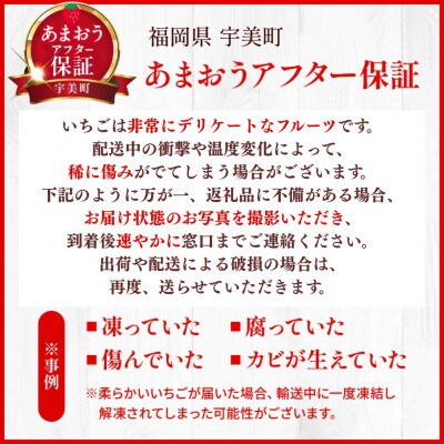 【11月下旬より順次発送】【宇美】フルーツ専門店が選んだ「あまおう苺」ギフト箱(12-15粒)【配送不可地域：離島】