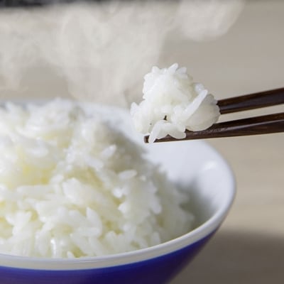 2021年9月発送開始『定期便』もつ鍋(味噌)4-5人前とお米(元気つくし)10kgのセット全4回