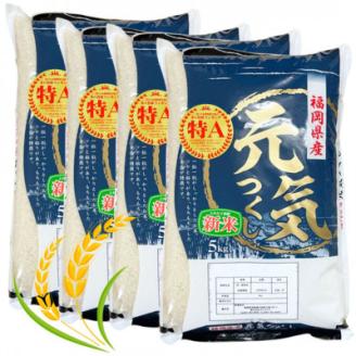 【令和7年産】福岡県産ブランド米「元気つくし」白米20kg(5kg×4袋)(宇美町)