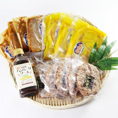 佐賀牛ハンバーグ・錦雲豚味噌漬けセット【配送不可地域：離島】