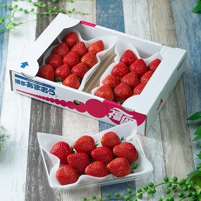 【2026年発送先行受付】春にお届け!丁度いい!福岡産はるあまおう3パック(宇美町)【配送不可地域：離島】