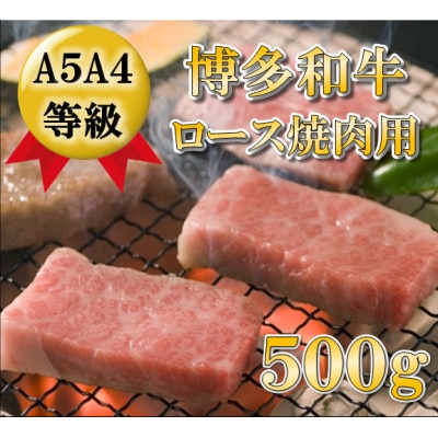【A5A4等級使用】博多和牛ロース焼肉用 500g(宇美町)【配送不可地域：離島】