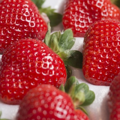 上級クラスの福岡産あまおう苺　EX(エクセレント)9-12粒(宇美町)【配送不可地域：離島】