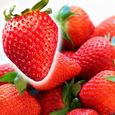 先行受付 2024年2月より順次発送　福岡県産 あまおうG以上 1500g(6パック)(宇美町)【配送不可地域：離島】