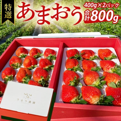 【先行受付】特選あまおう　800g(宇美町)【配送不可地域：離島】