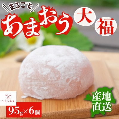 【先行受付】あまおう農家さんがつくる!!あまおう大福(冷凍)95g×6個(宇美町)【配送不可地域：離島】
