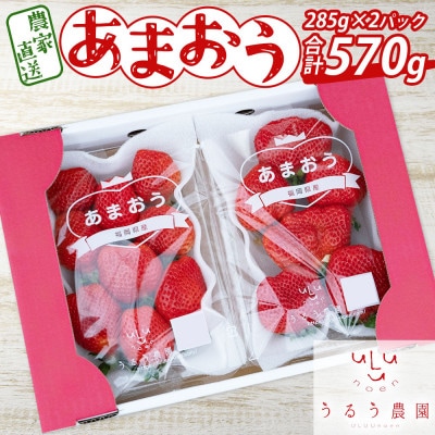 【先行受付】あまおうスタンダード2パック　570g(宇美町)【配送不可地域：離島】