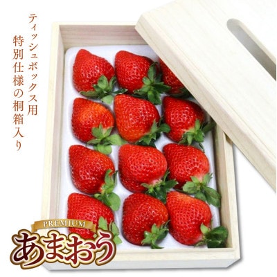 ティッシュボックス用特別仕様の桐箱入りプレミアムあまおうEX400g×1パック(宇美町)【配送不可地域：離島】