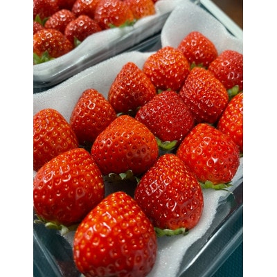 ふくおかエコ農産物認証いちご 福岡県産あまおう苺 約250g×4P(3月から4月中旬発送)宇美町【配送不可地域：離島・北海道・沖縄県】