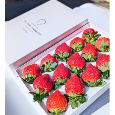 プレミアム あまおう EX(化粧箱入り)約400g×1パック(宇美町)【配送不可地域：離島】