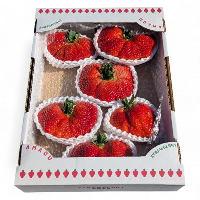 選ばれし一粒・特撰プレミアムあまおう 約600g(宇美町)【配送不可地域：離島】