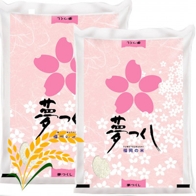 【令和7年産】福岡県産ブランド米「夢つくし」白米　計10kg(宇美町)