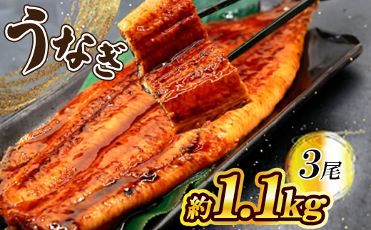 うなぎ 約1.1kg!茶葉蒸し有頭鰻かば焼 3尾【配送不可地域：離島】