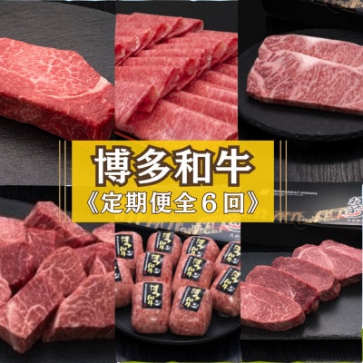 【毎月定期便】【博多和牛】博多和牛ヒレからロースまで!人気部位を味わう豪華定期便(宇美町)全6回【配送不可地域：離島】