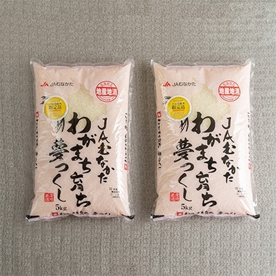 【宇美】定期便 果物屋さんが選んだ米「夢つくし」10kg全6回