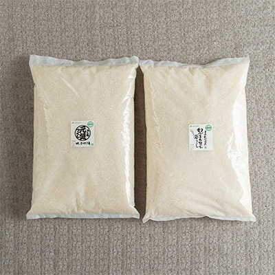 【宇美】定期便 果物屋さんが選んだ米食べ比べ「夢つくし＆元気つくし」各2.5kg全6回