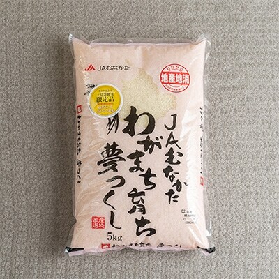 2021年10月発送開始『定期便』果物屋さんが選んだ米(夢つくし)5kg全6回