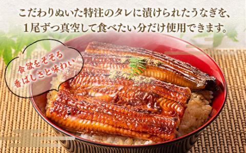 お魚屋さんのうなぎ蒲焼 約1000ｇ（5尾）ウナギ ふっくら肉厚 大容量　RZ001