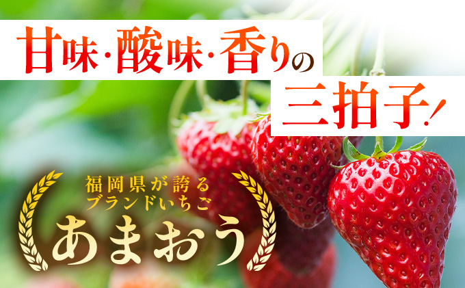 【2月発送】福岡県産あまおう約250g×4パック