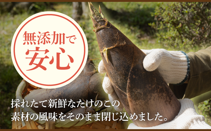 篠栗産たけのこの水煮200g×4パック BZ026