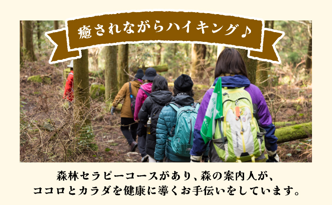 森林セラピー＆スワッグ（苔玉）づくり体験2名様 FZ006