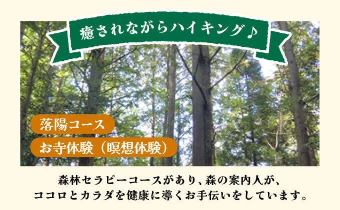 森林セラピー＆お寺体験3名様 FZ008