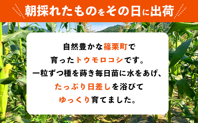 KW001 上品な甘さのトウモロコシ「サニーショコラ」(3.5kg前後・10本)