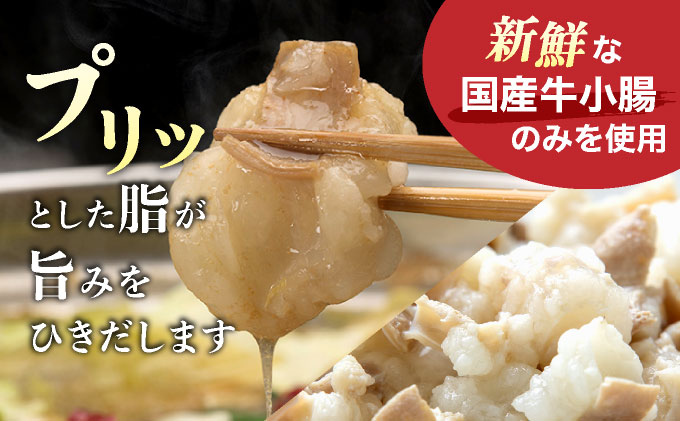 【プリプリの国産牛小腸のみ使用】博多特選もつ鍋(醤油味・2.5人前)＆博多辛子明太子450g(特選切子・無着色)(150g×3P)セット【少人数様向け福岡ブランドセット】 | 短期配送 国産 ホルモン 牛 小腸 切子 無着色 魚卵 海鮮 新鮮 土産 家庭用 小分け