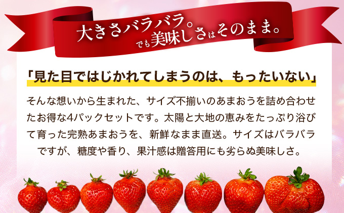 福岡県産 特別栽培 あまおう サイズいろいろMIX 約1140g（約285g×4パック）【3月発送】