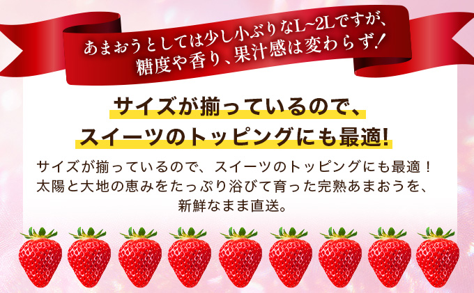 福岡県産 特別栽培 あまおう L~2Lサイズ（少し小ぶりサイズ）約1140g（約285g×4パック）【2〜4月発送】