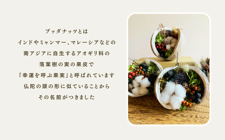 ブッダナッツ ドライフラワー アレンジメント XY006