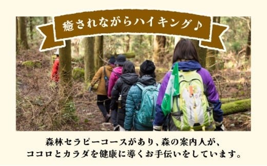 森林セラピー＆スワッグ（苔玉）づくり体験2名様 FZ006