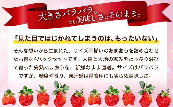 福岡県産 特別栽培 あまおう サイズいろいろMIX 約1140g（約285g×4パック）【1～2月発送】 サイズMIX 1～2月発送