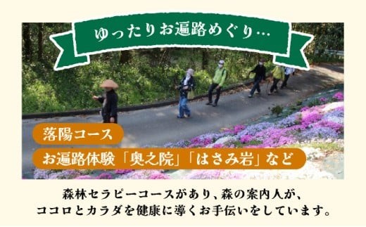 森林セラピー＆お遍路体験3名様 FZ007