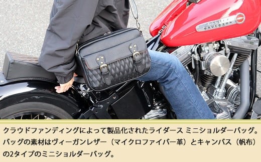 DLMS ショルダーバッグ  'Old Symbol’ キャンバス生地 WZ010-2 キャンバス