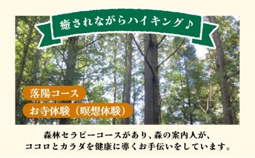 森林セラピー＆お寺体験3名様 FZ008