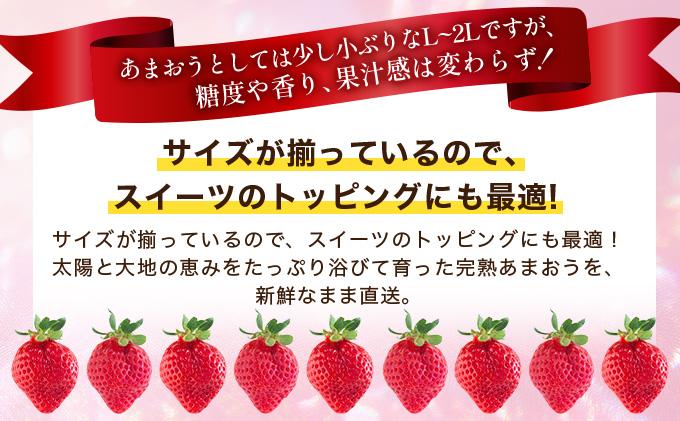 福岡県産 特別栽培 あまおう L~2Lサイズ（少し小ぶりサイズ）約1140g（約285g×4パック）【2～4月発送】 L~2Lサイズ 2~4月発送