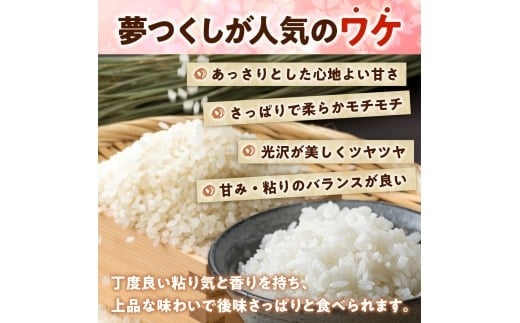 福岡県産「夢つくし」無菌パックご飯（48パック）　ZX02 48パック