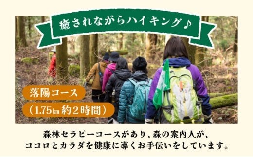 篠栗町森林セラピー体験1～3名様【落陽コース（1.75km/約2時間）】FZ004